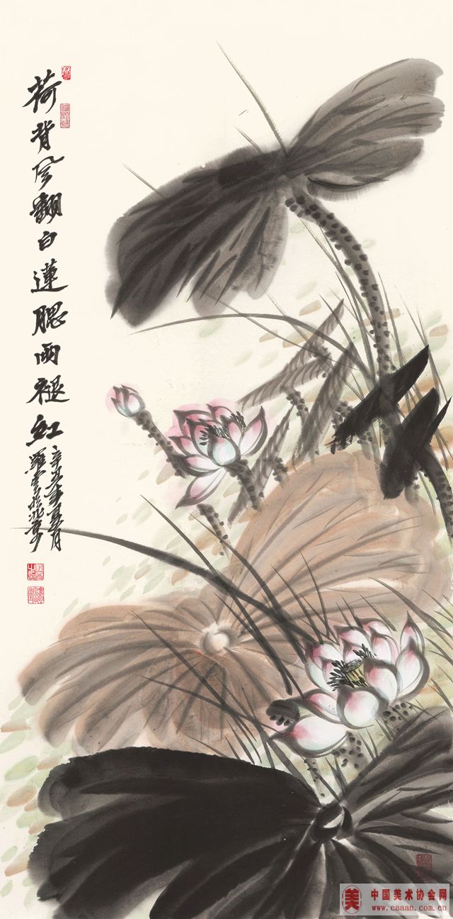 �ɱ��緭���������ʺ�